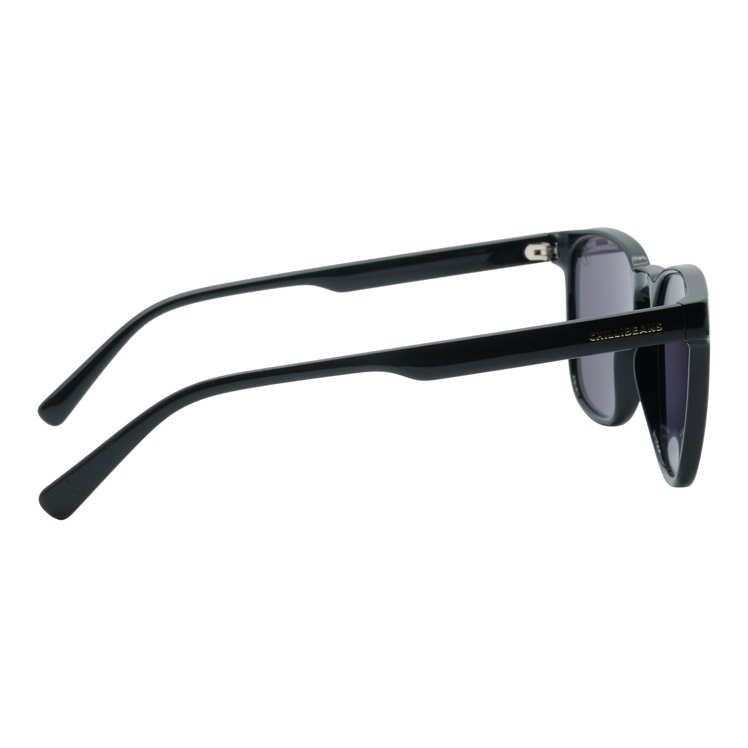 SUNGLASSES OCCL5263.0101