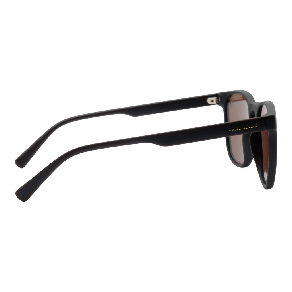 SUNGLASSES OCCL5263.0202