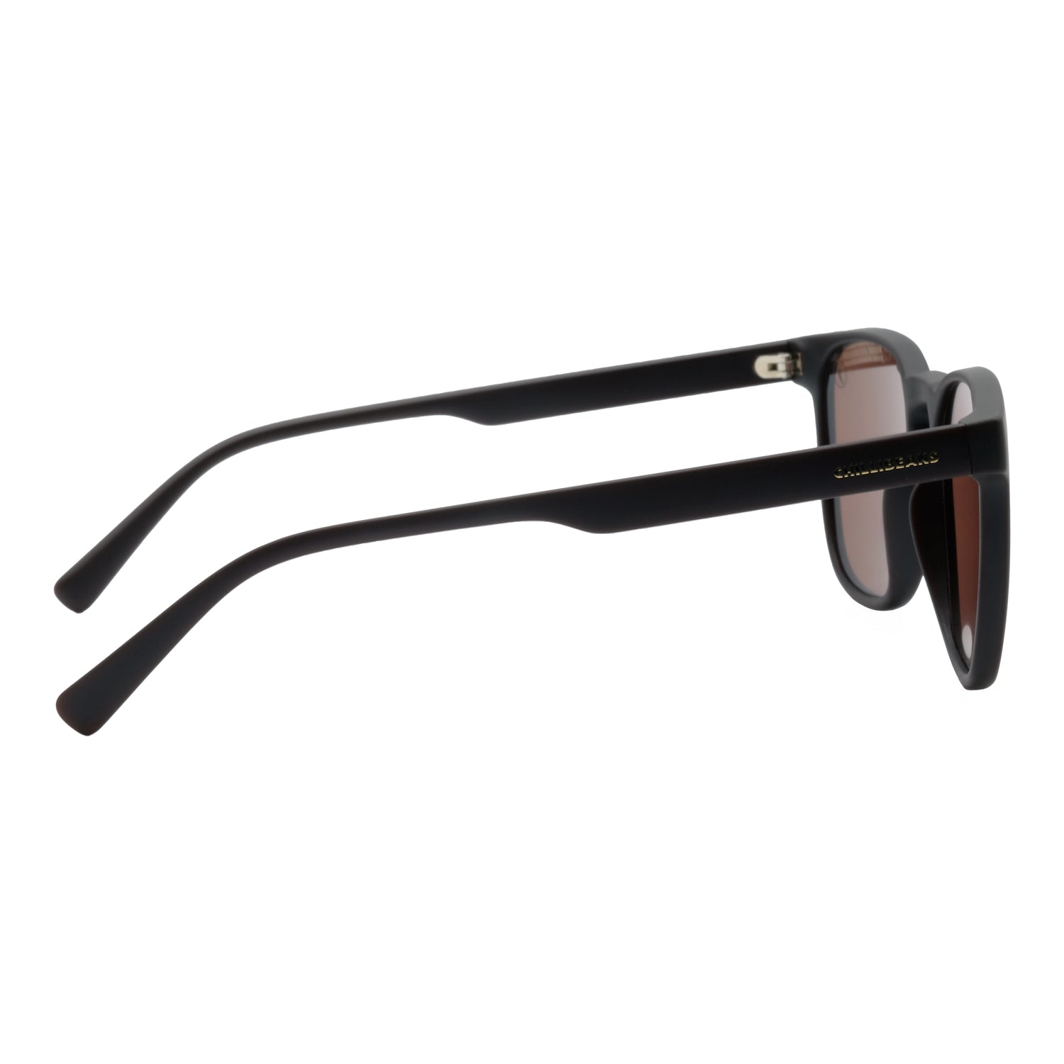 SUNGLASSES OCCL5263.0202