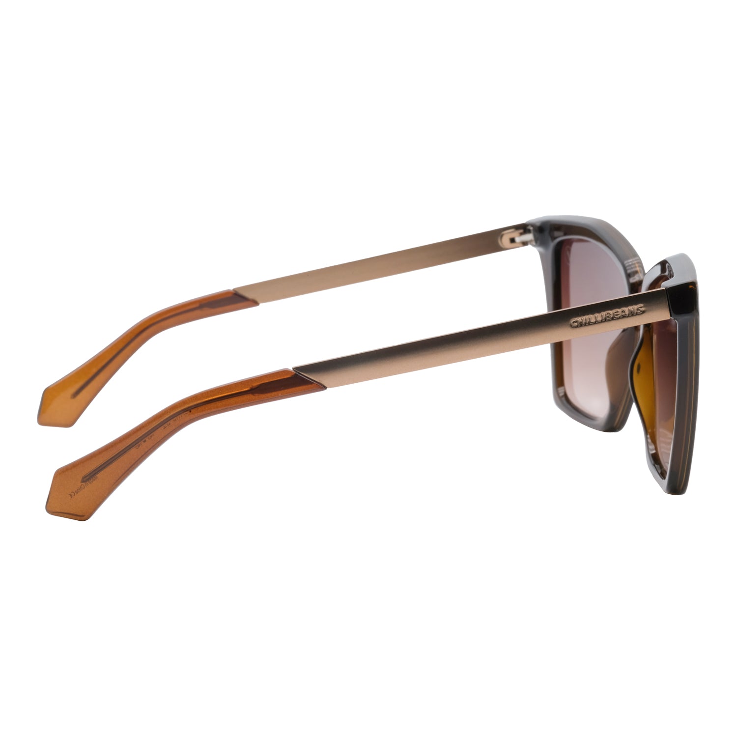 SUNGLASSES FEMALE OCCL5350.5702