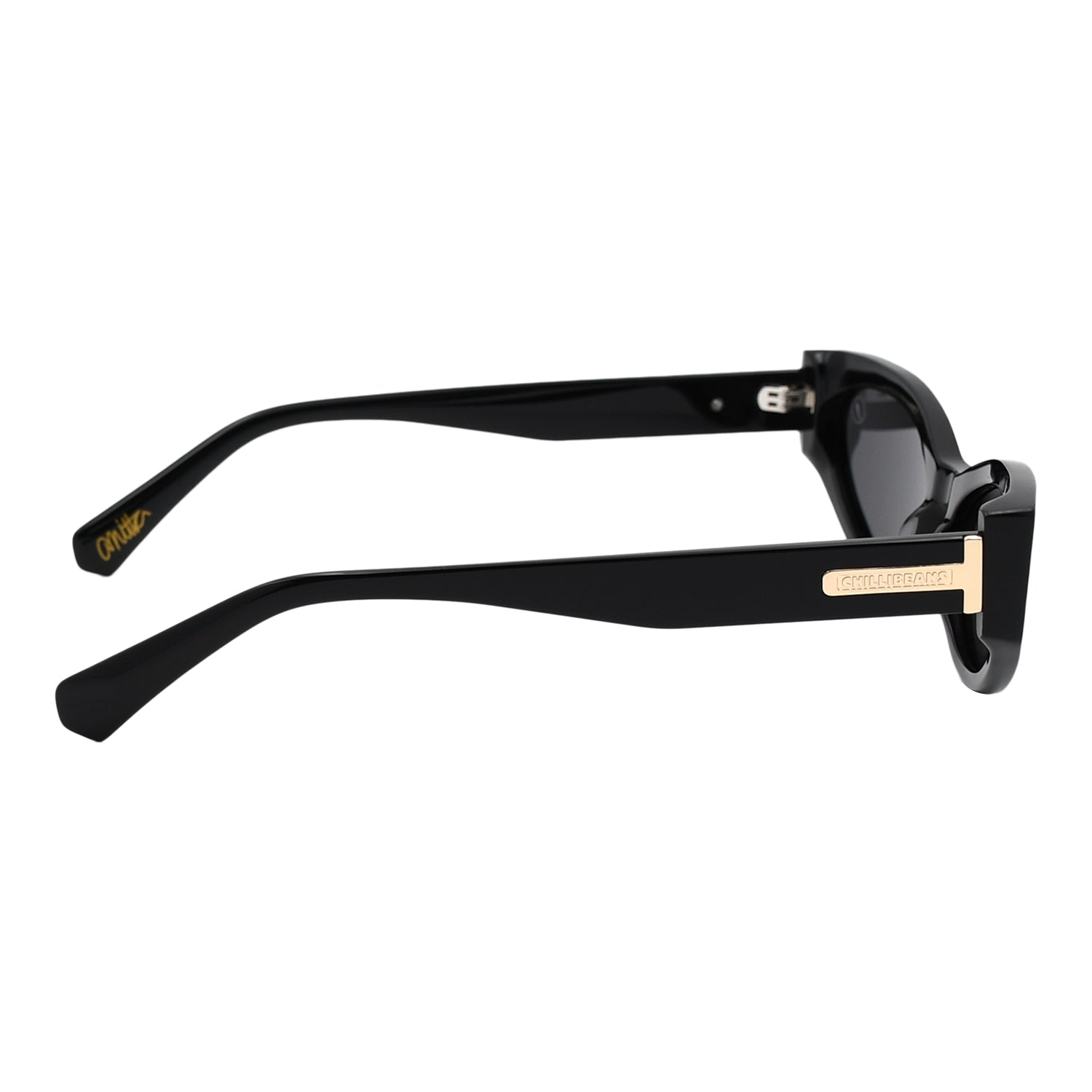 SUNGLASSES FEMALE OCCL5690.0101