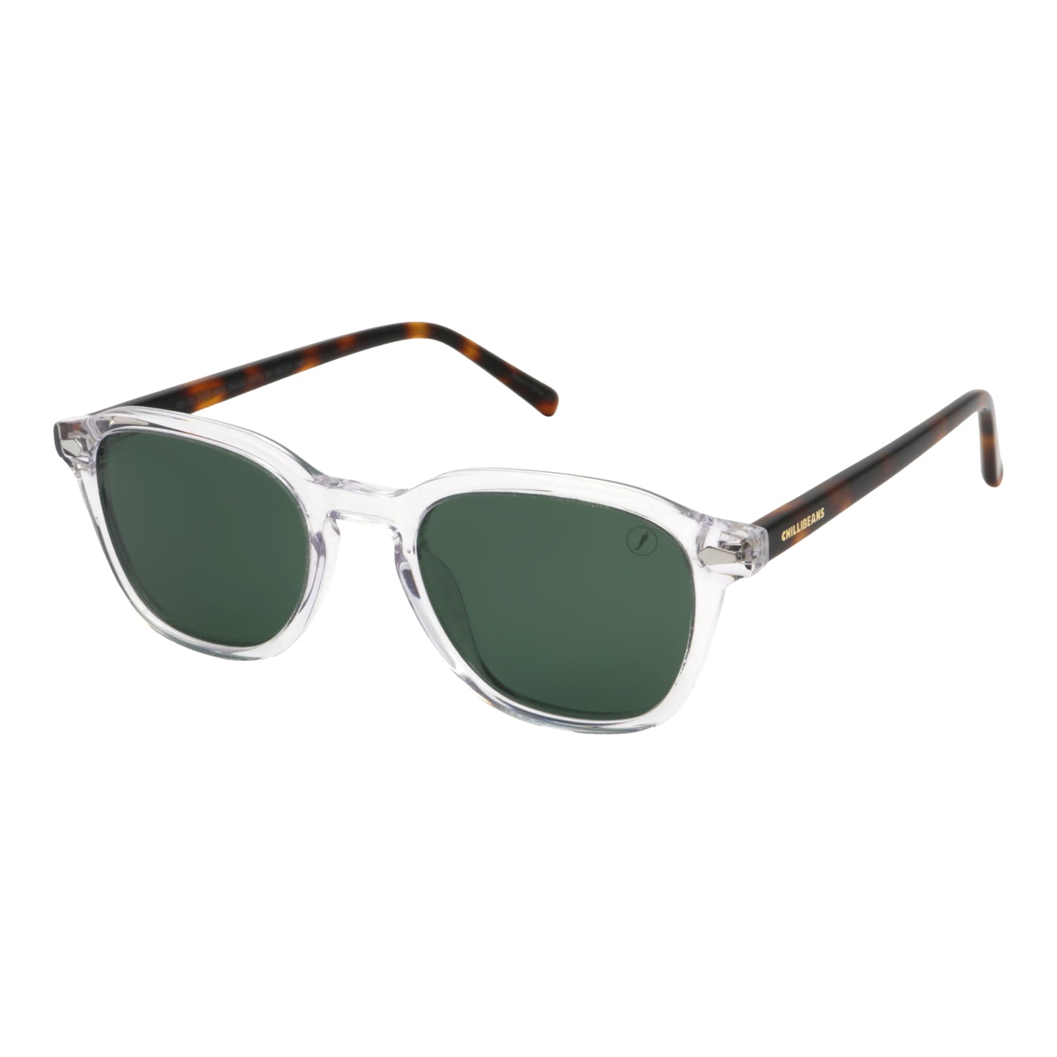SUNGLASSES OCCL5730.1536